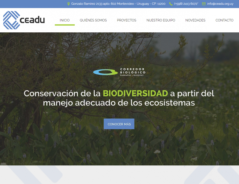 Ceadu
