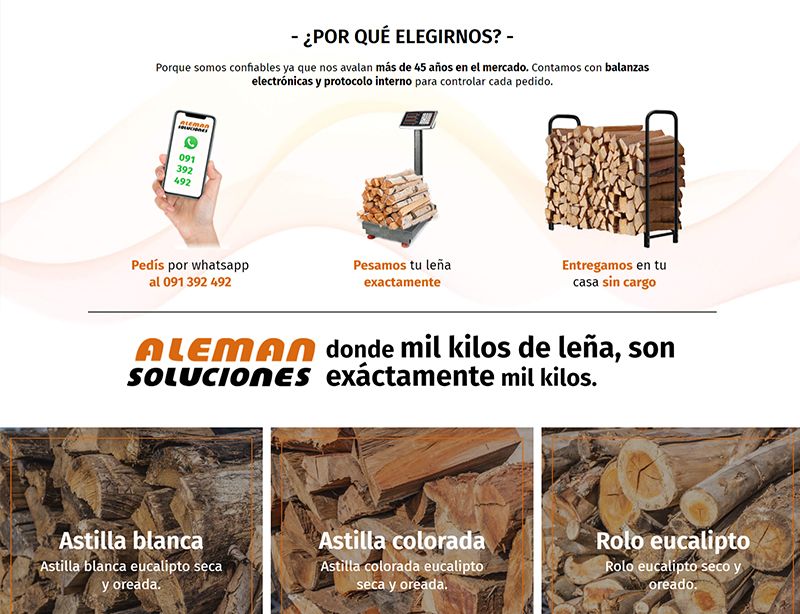 Aleman Soluciones